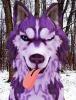 Ikoria the Wolf Pup's Avatar