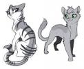 Ivypool and dove