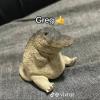 Snowyfeathr's Avatar